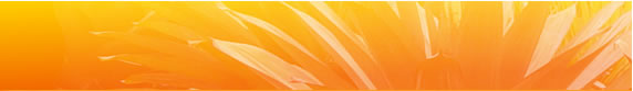 Totara Waters Subtropical Garden - Bromelaid Sales